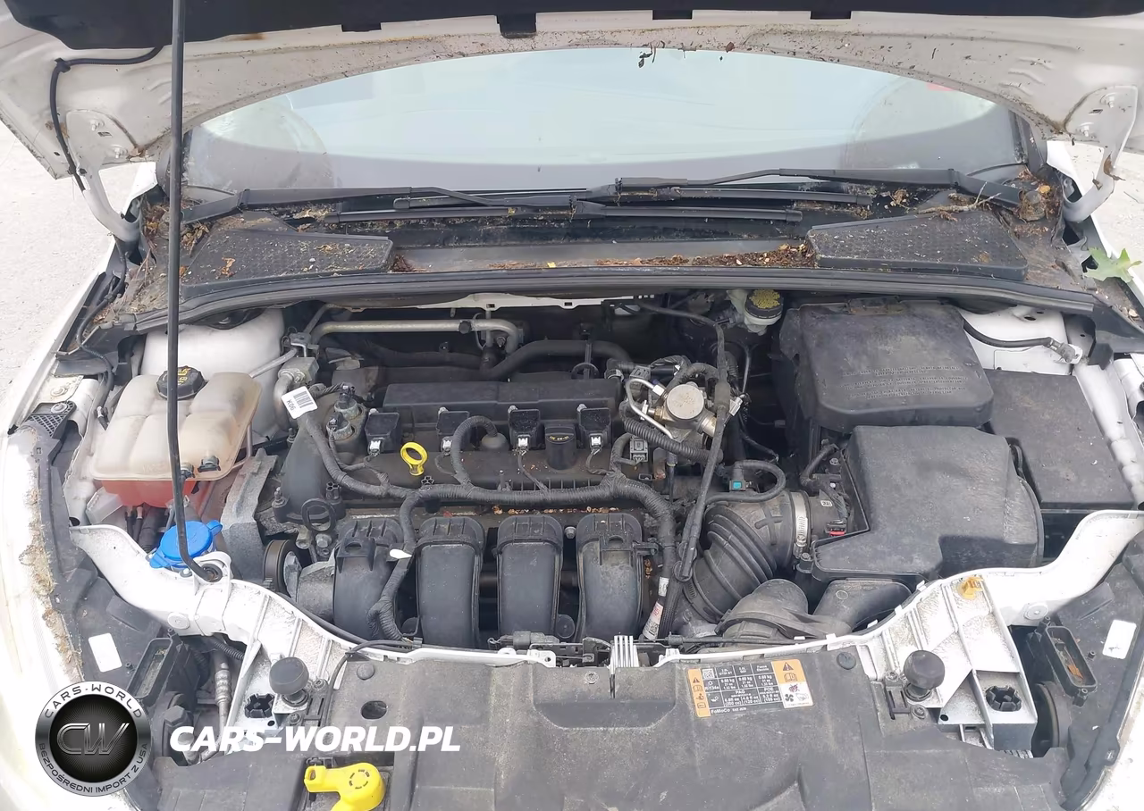 2016 Ford Focus Titanium VIN:1FADP3N28GL356557 - 10