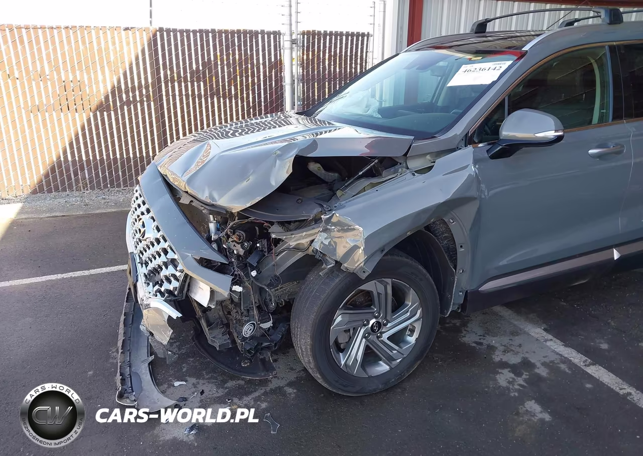 2022 Hyundai Santa Fe Sel VIN:5NMS3DAJ9NH425285 - 18