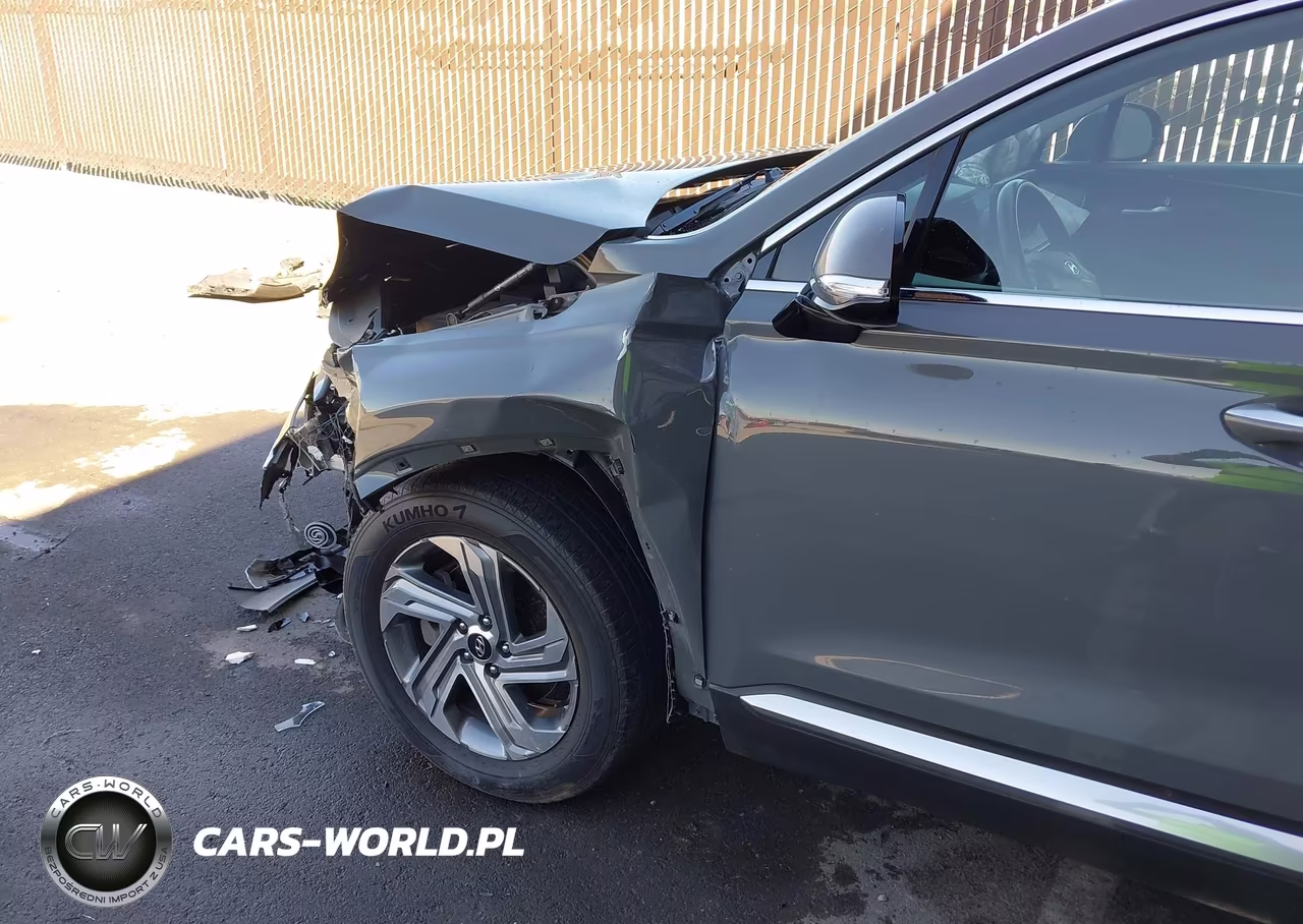 2022 Hyundai Santa Fe Sel VIN:5NMS3DAJ9NH425285 - 19