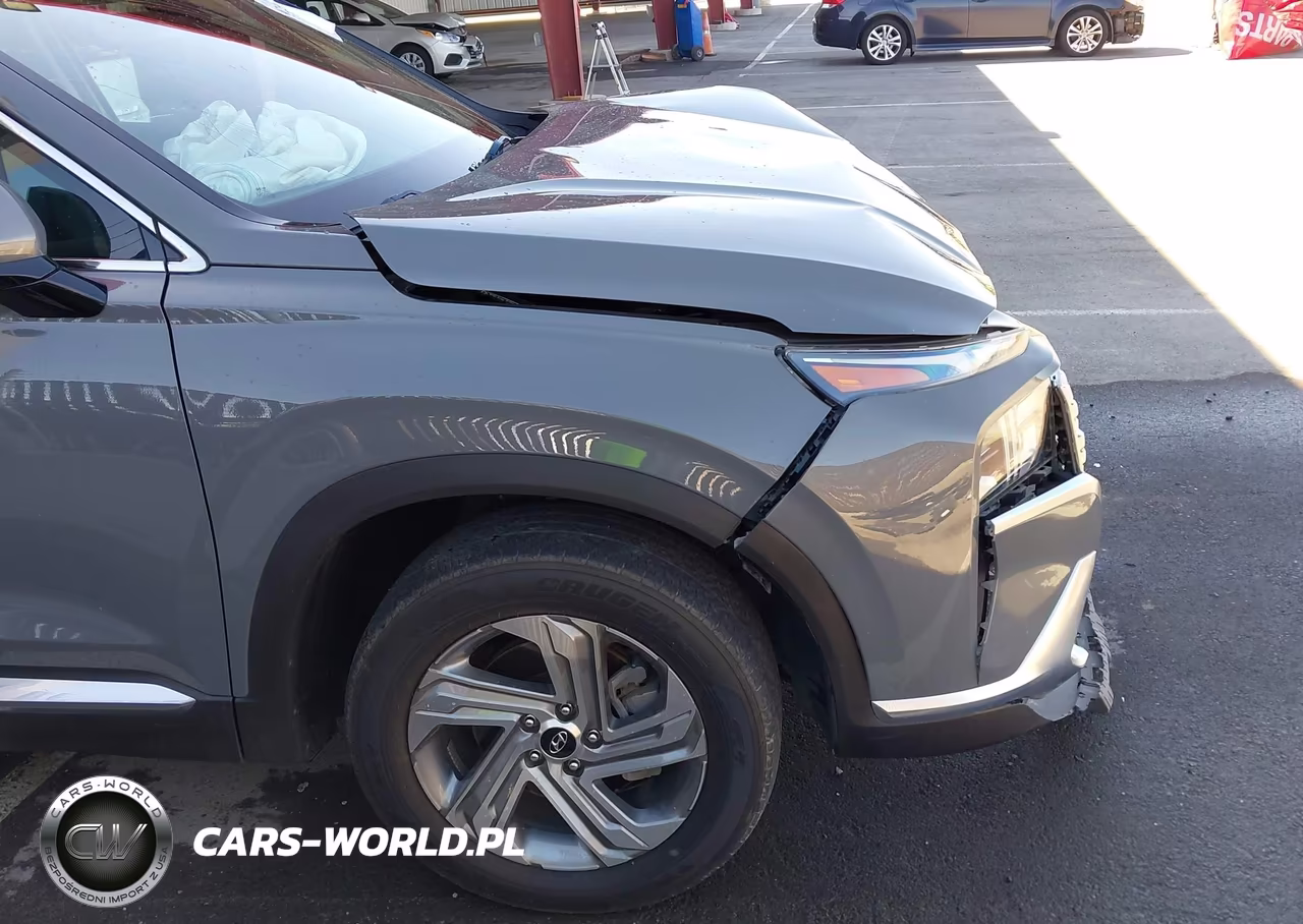 2022 Hyundai Santa Fe Sel VIN:5NMS3DAJ9NH425285 - 20
