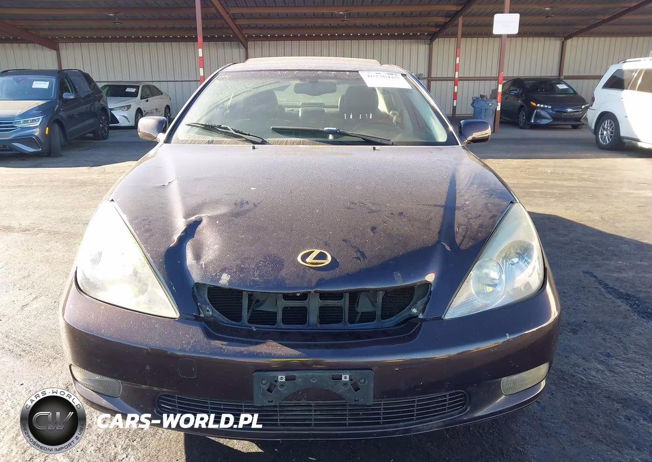 2004 Lexus Es 330 VIN:JTHBA30G645008938 - 12