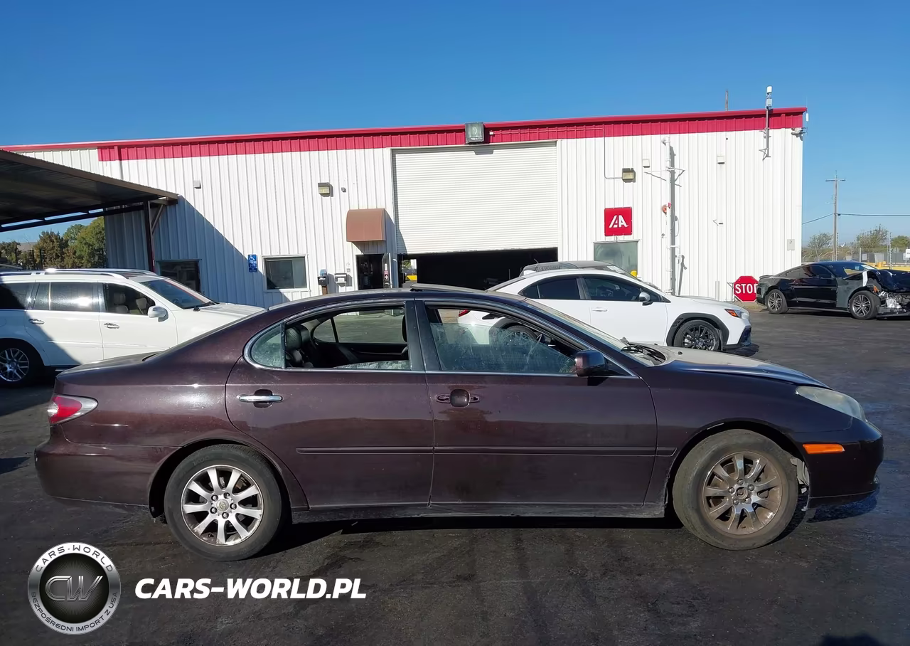 2004 Lexus Es 330 VIN:JTHBA30G645008938 - 13