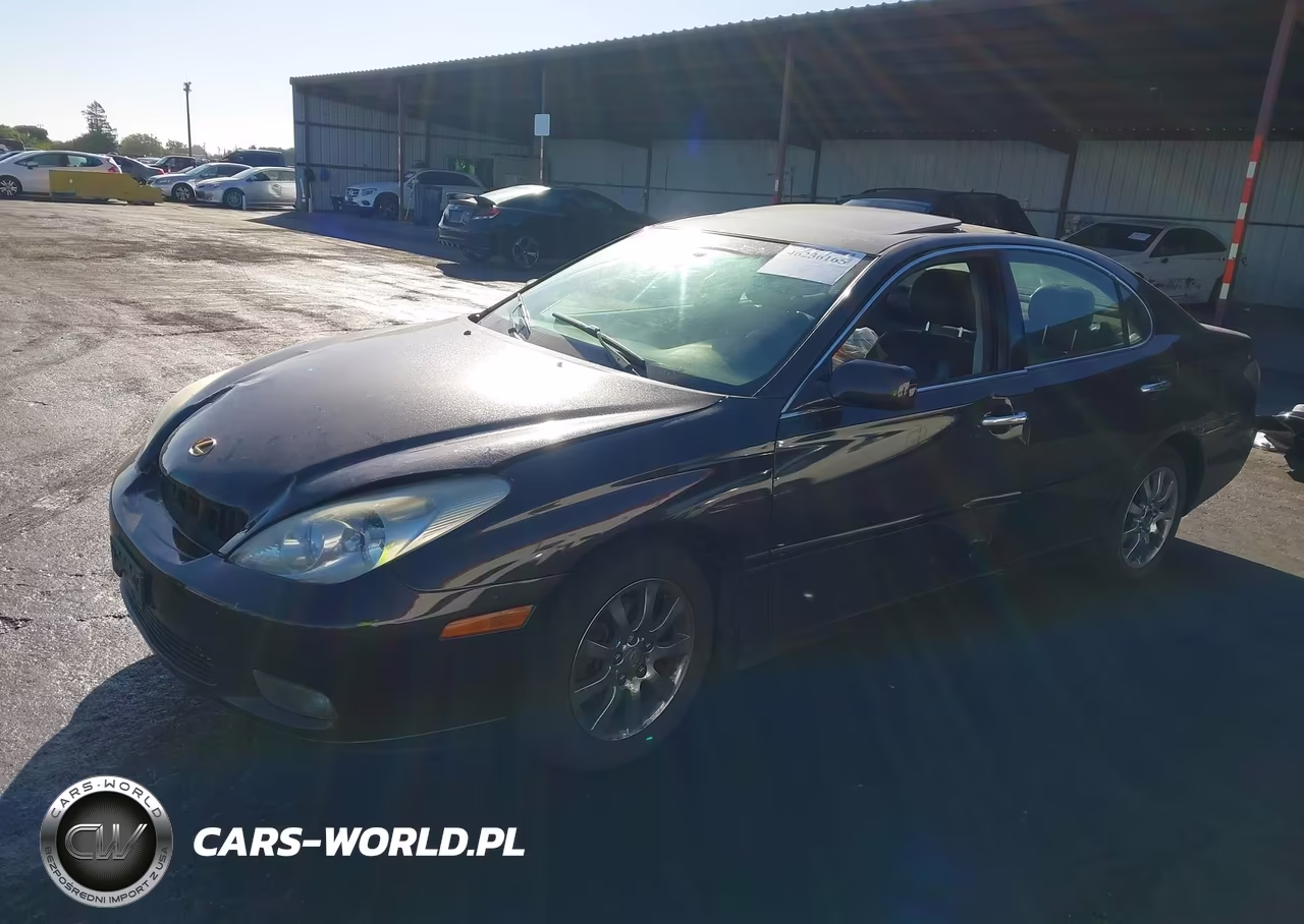2004 Lexus Es 330 VIN:JTHBA30G645008938 - 2