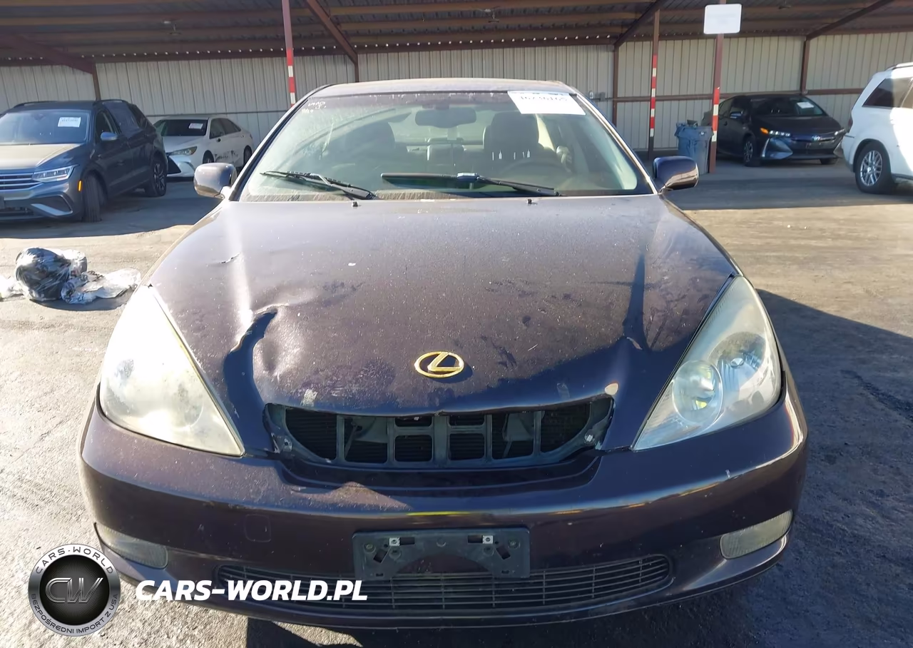 2004 Lexus Es 330 VIN:JTHBA30G645008938 - 6