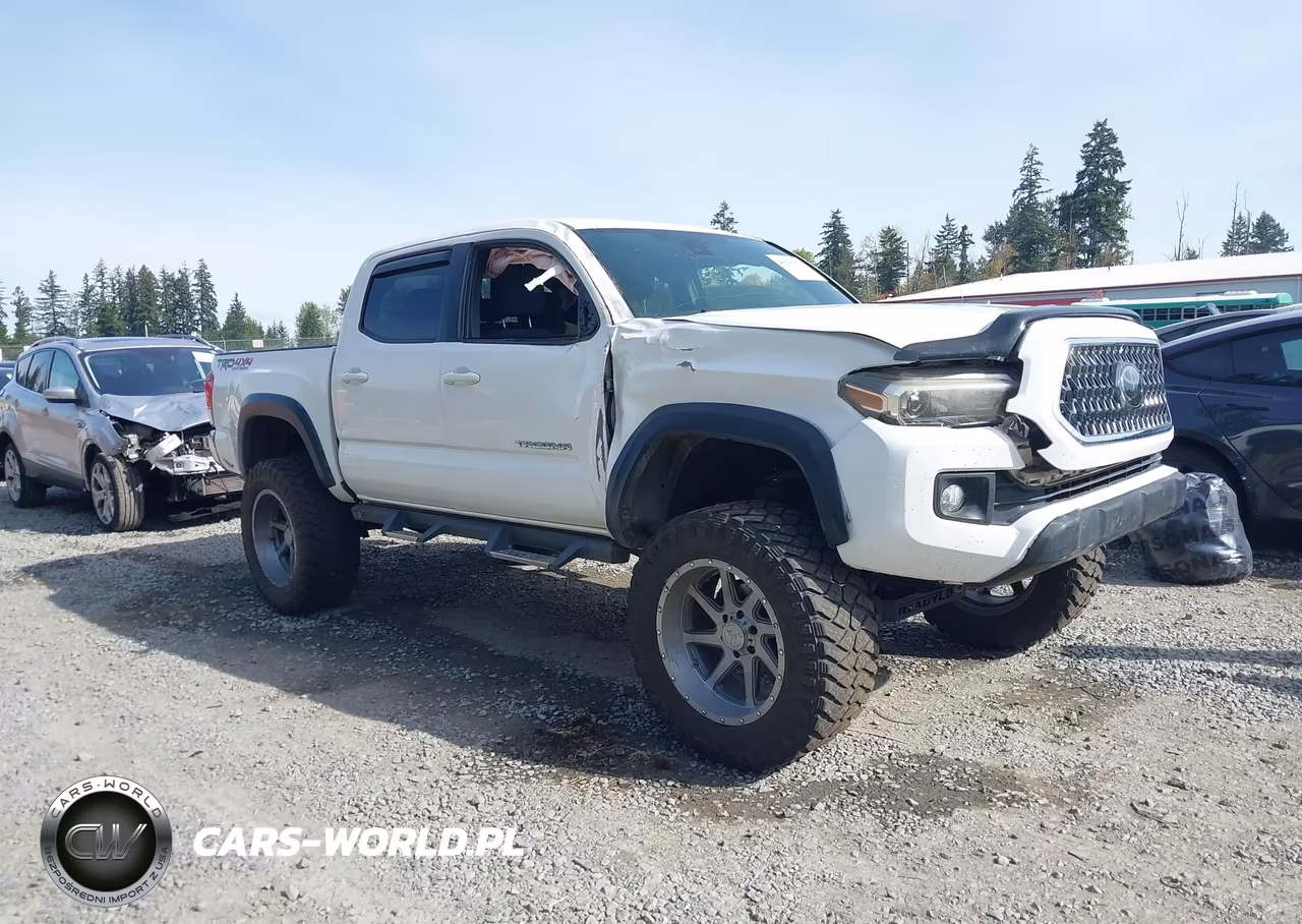 2018 Toyota Tacoma Trd Off Road VIN:3TMCZ5AN6JM141065 - 1