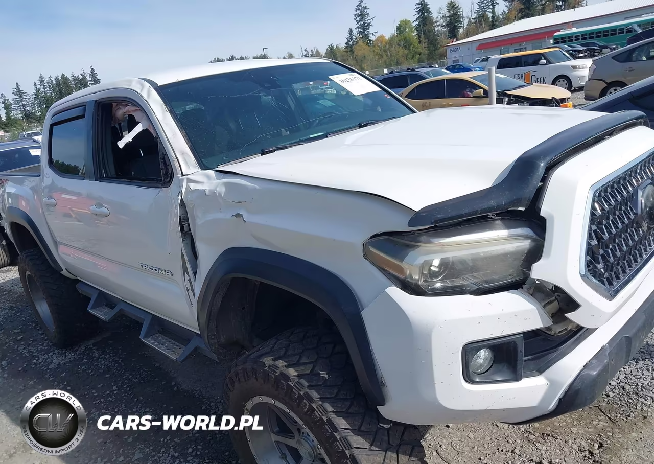 2018 Toyota Tacoma Trd Off Road VIN:3TMCZ5AN6JM141065 - 6