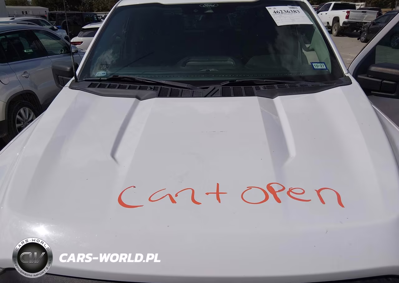2021 Ford F-150 Xl VIN:1FTEW1CP1MKE76450 - 10