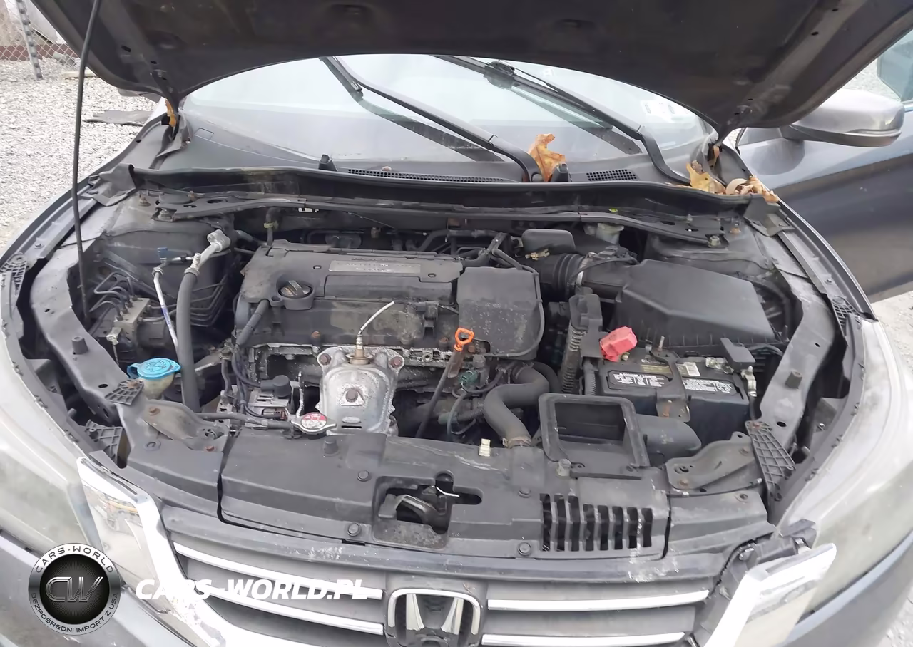 2014 Honda Accord Ex-L VIN:1HGCR2F84EA304219 - 10