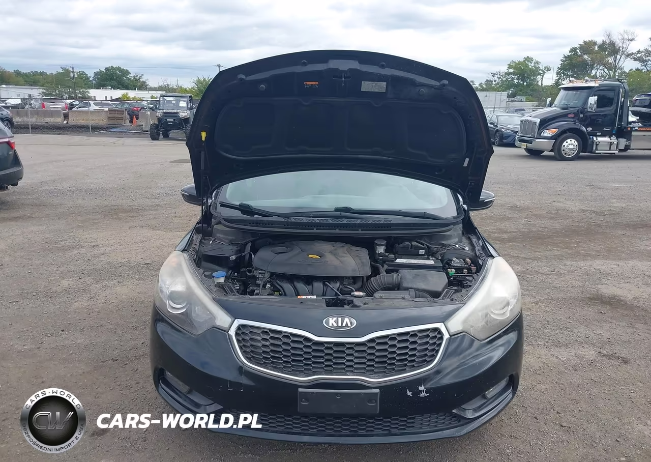 2016 Kia Forte Lx VIN:KNAFK5A84G5576707 - 10