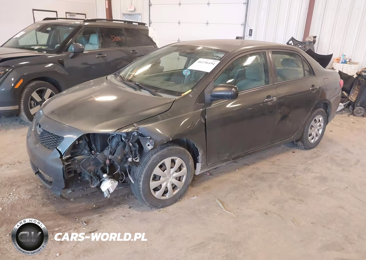 2010 Toyota Corolla VIN:2T1BU4EE6AC362253 - 2