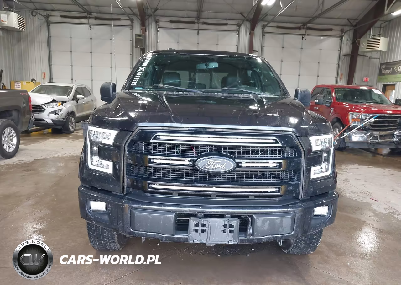 2015 Ford F-150 Xlt VIN:1FTEW1EG2FKD90192 - 12