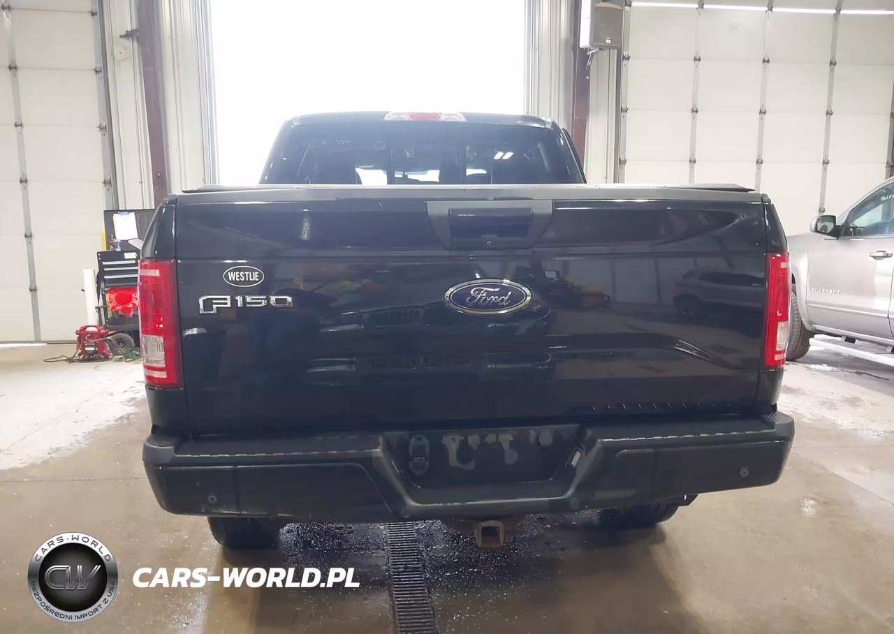 2015 Ford F-150 Xlt VIN:1FTEW1EG2FKD90192 - 16
