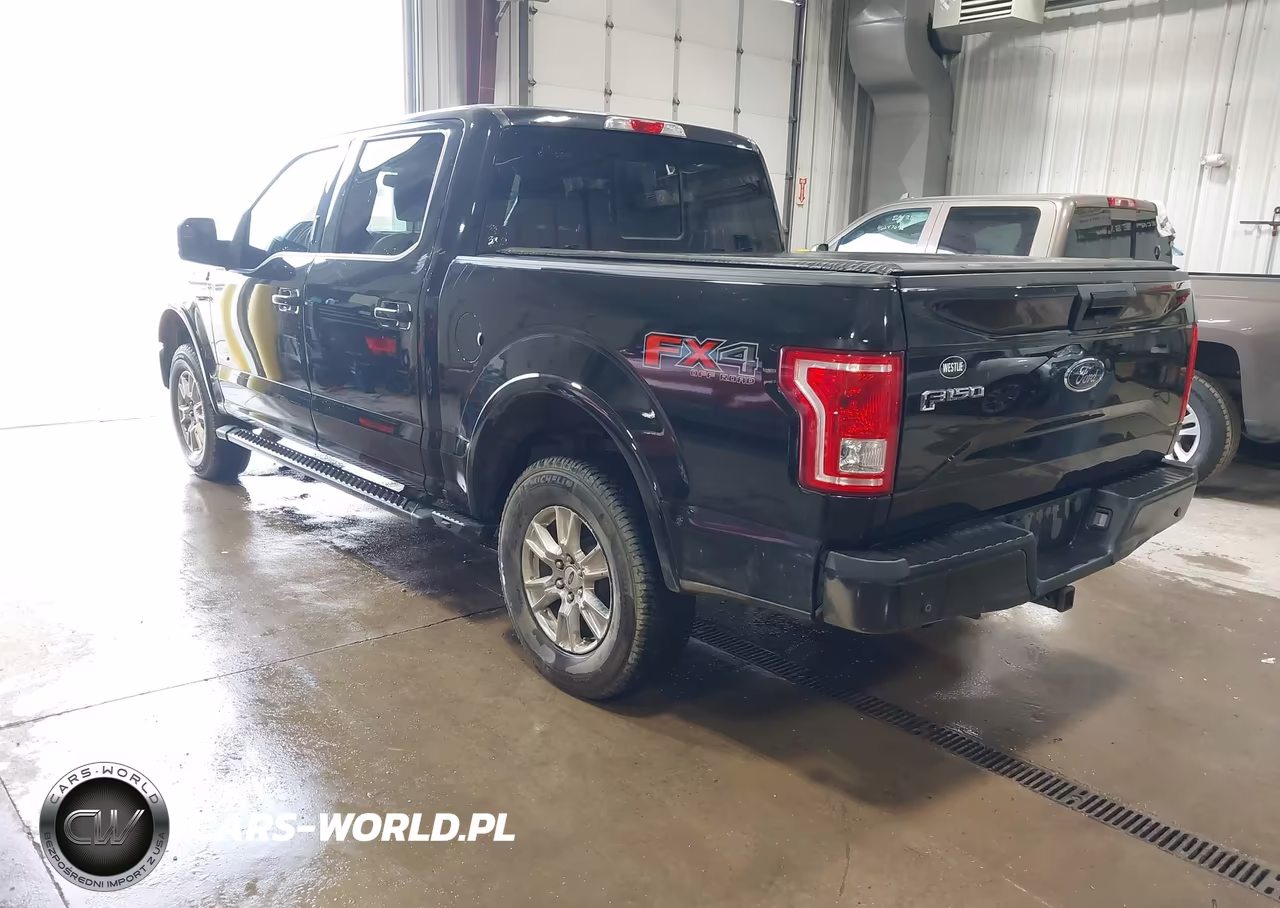 2015 Ford F-150 Xlt VIN:1FTEW1EG2FKD90192 - 3