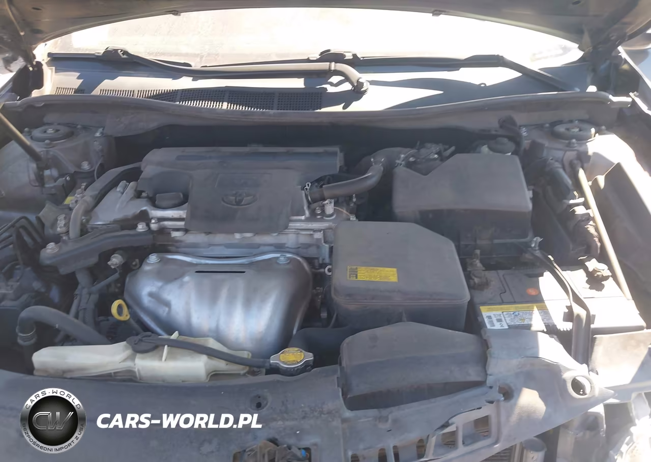 2014 Toyota Camry Xle VIN:4T4BF1FK8ER344666 - 10