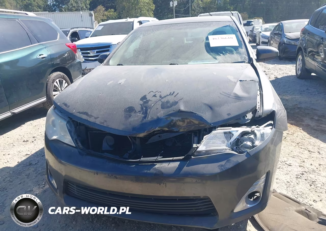 2014 Toyota Camry Xle VIN:4T4BF1FK8ER344666 - 12