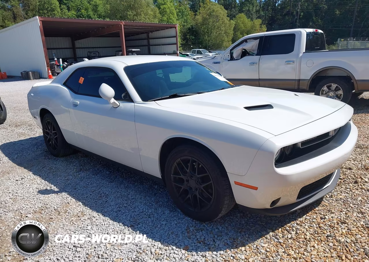 2019 Dodge Challenger Sxt