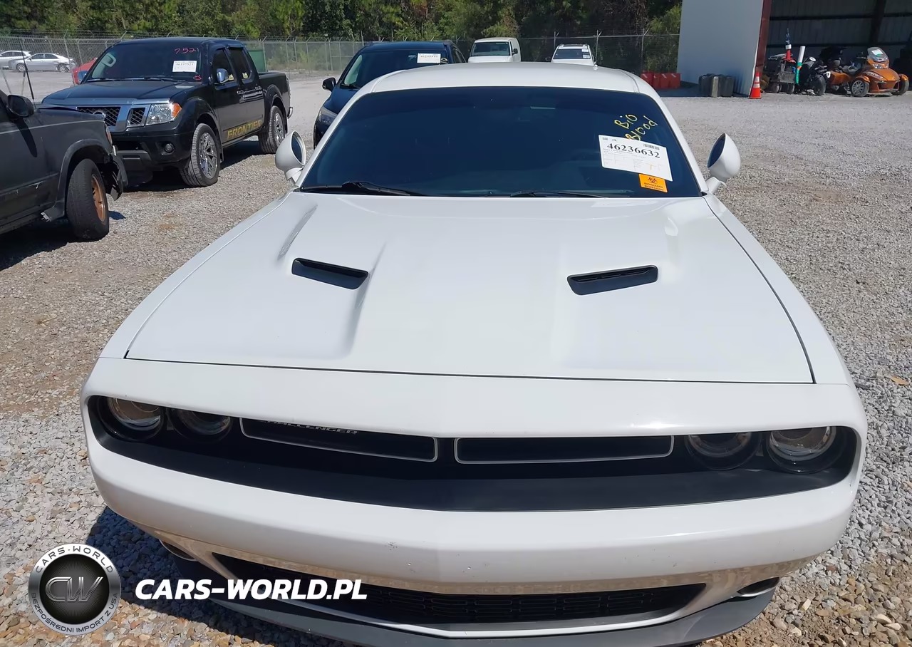 2019 Dodge Challenger Sxt VIN:2C3CDZAG9KH524445 - 10