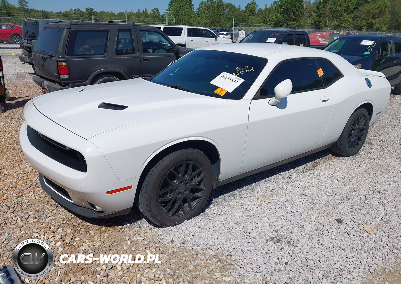 2019 Dodge Challenger Sxt VIN:2C3CDZAG9KH524445 - 2