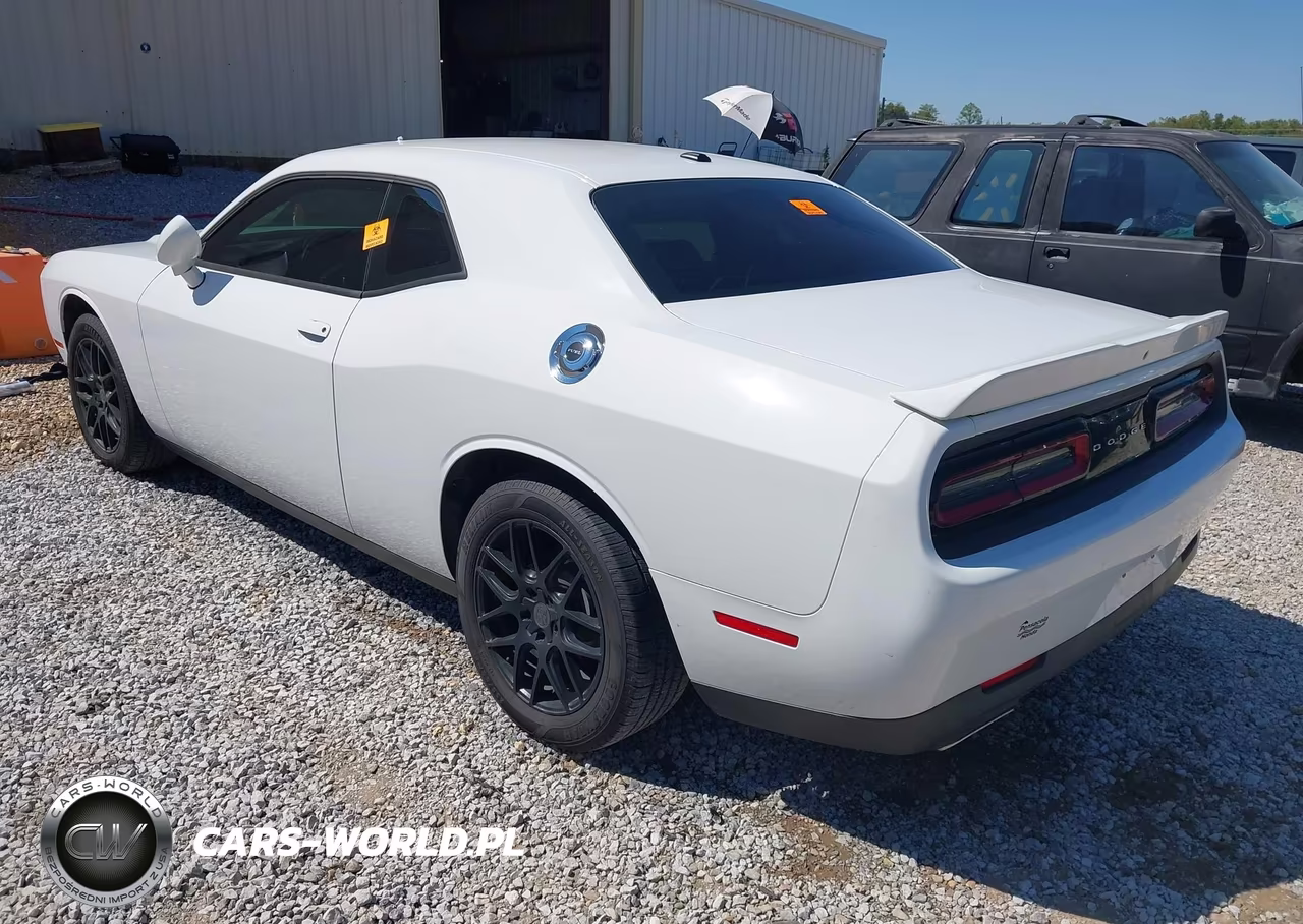 2019 Dodge Challenger Sxt VIN:2C3CDZAG9KH524445 - 3
