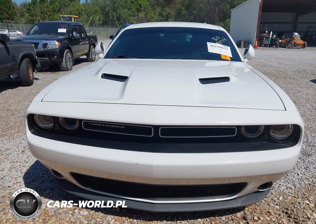 2019 Dodge Challenger Sxt VIN:2C3CDZAG9KH524445 - 6