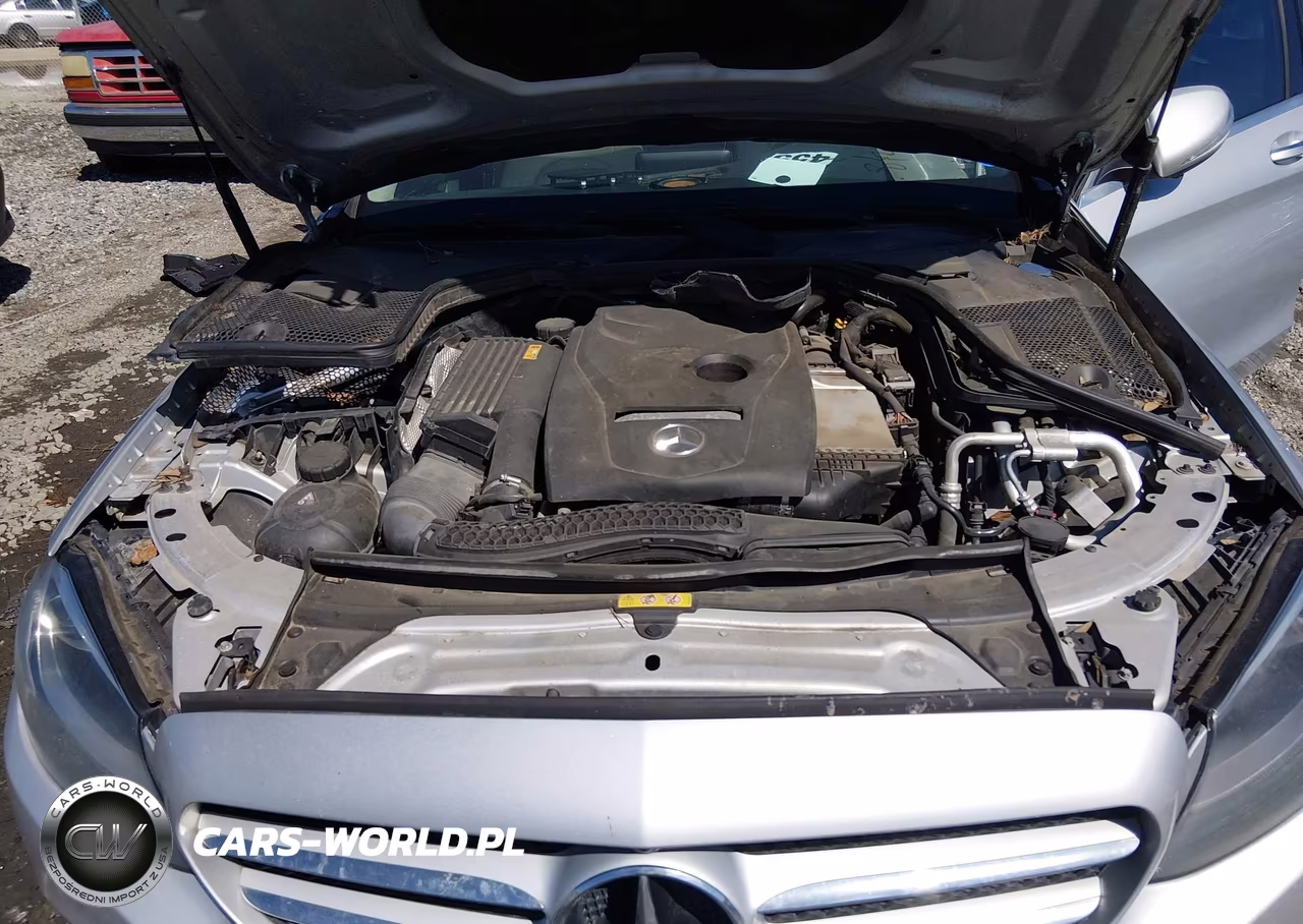 2017 Mercedes-Benz C 300 VIN:55SWF4JB4HU199002 - 10
