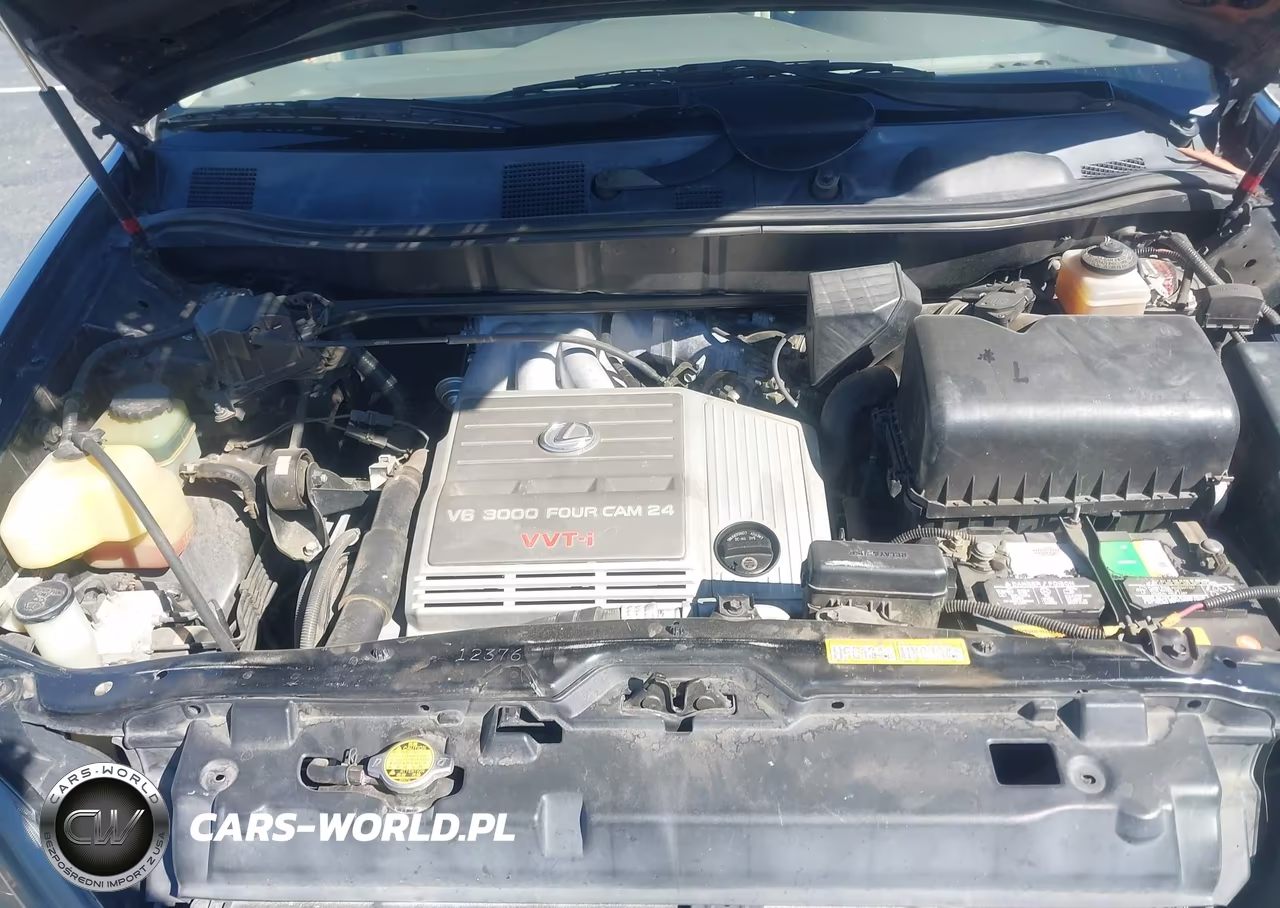 2000 Lexus Rx 300 VIN:JT6HF10U6Y0102609 - 10