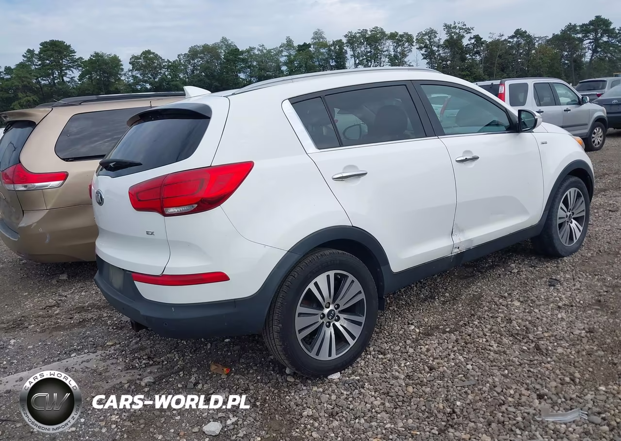 2014 Kia Sportage Ex VIN:KNDPCCAC4E7607324 - 4