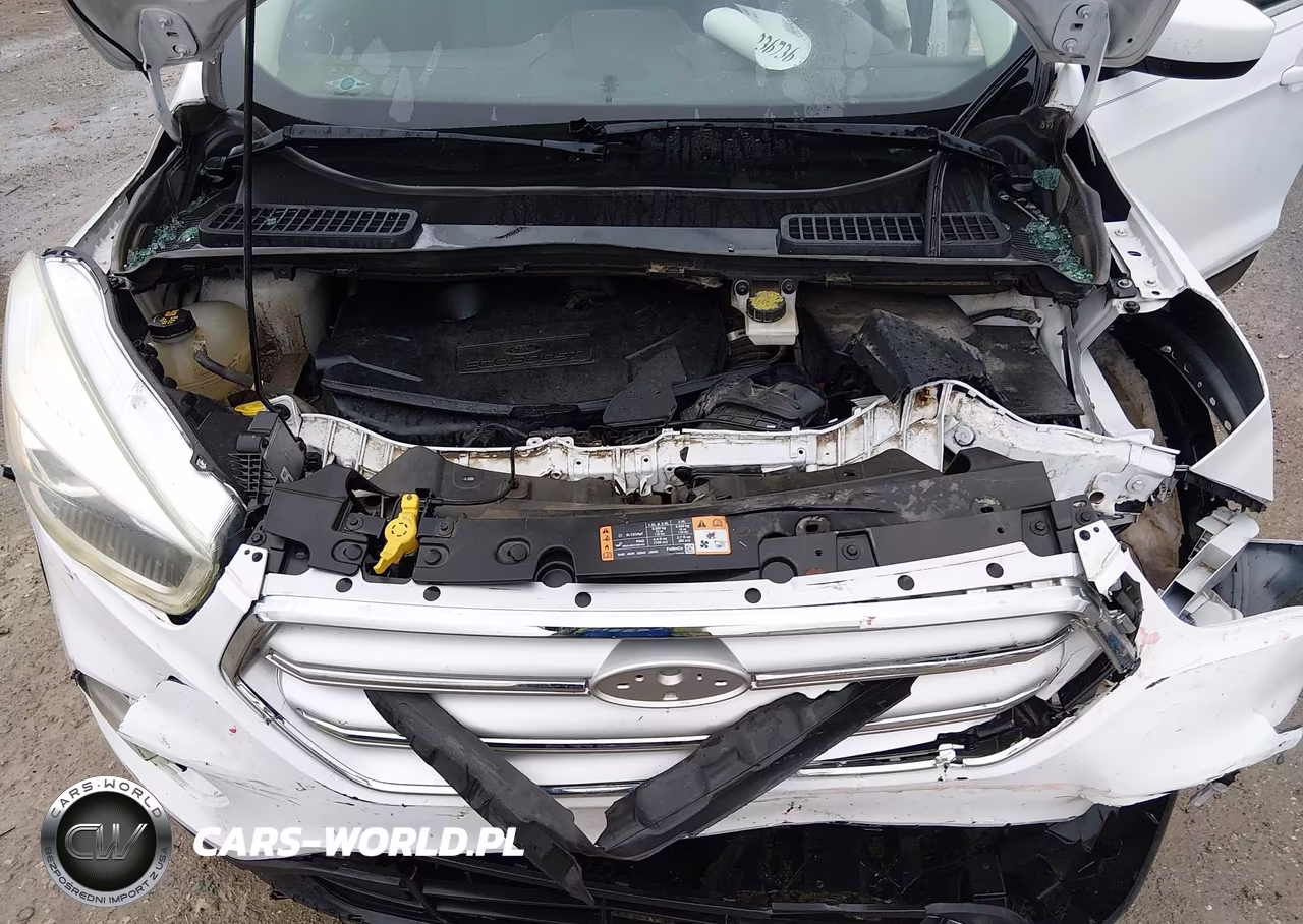 2017 Ford Escape Se VIN:1FMCU0G93HUD39101 - 10