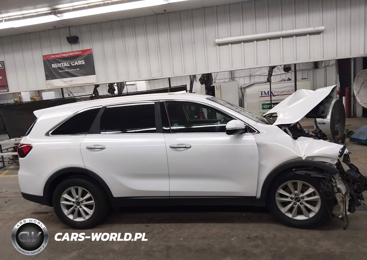2020 Kia Sorento 2.4L Lx VIN:5XYPG4A39LG690520 - 12