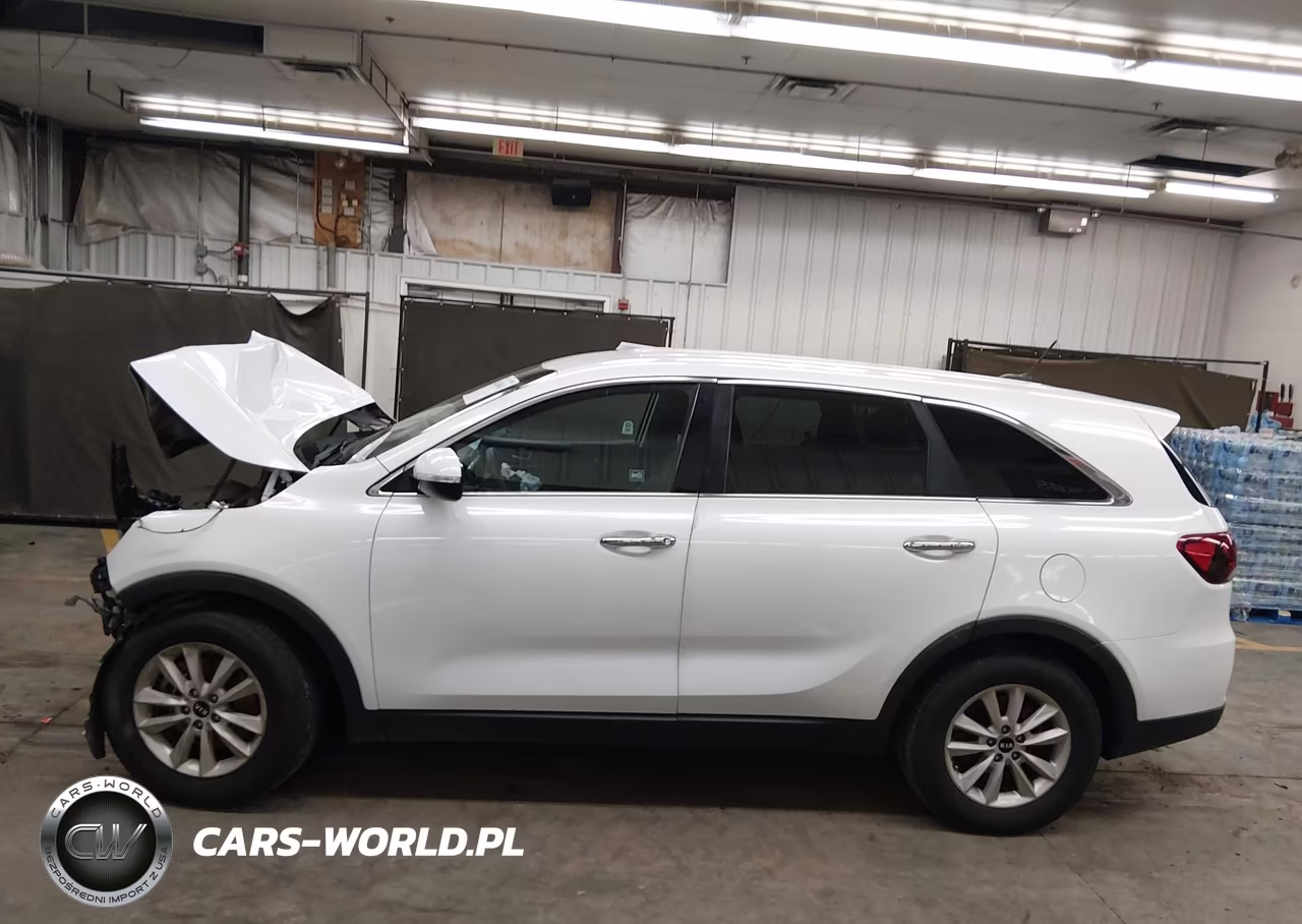 2020 Kia Sorento 2.4L Lx VIN:5XYPG4A39LG690520 - 13