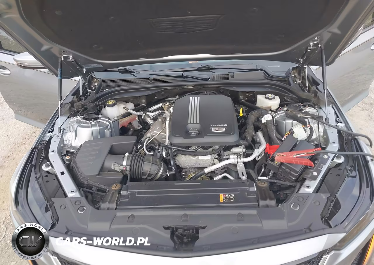 2024 Cadillac Ct5 Sport VIN:1G6DU5RK4R0111724 - 10