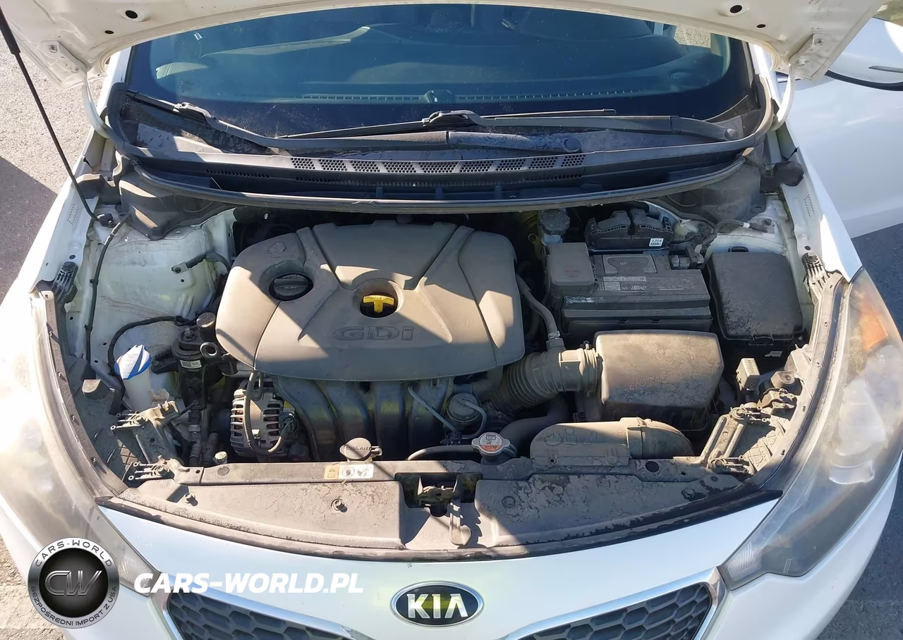 2016 Kia Forte Ex VIN:KNAFZ4A82G5522201 - 10