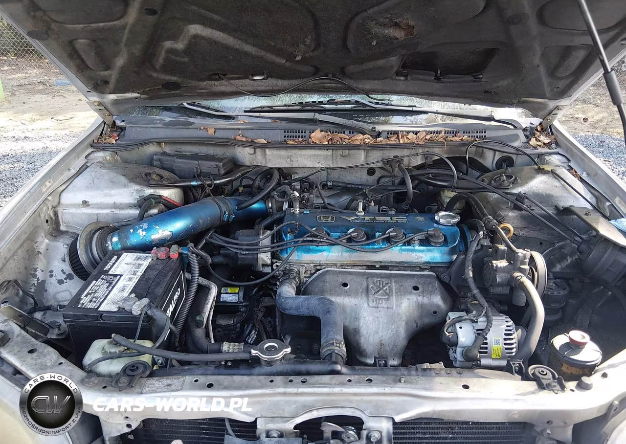 1998 Honda Accord Sdn Lx VIN:1HGCG5644WA186839 - 10
