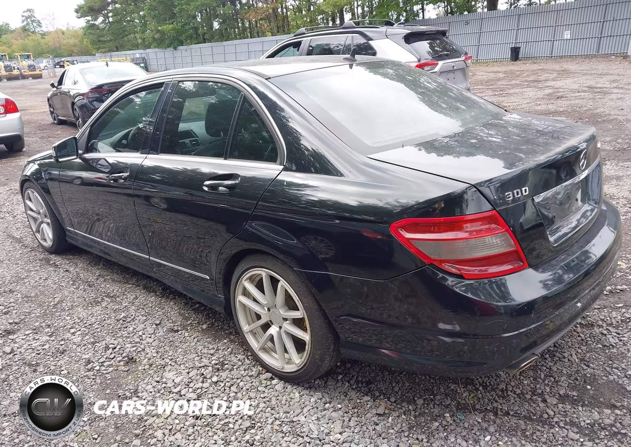2010 Mercedes-Benz C 300 Luxury 4Matic-Sport 4Matic VIN:WDDGF8BBXAR091470 - 3
