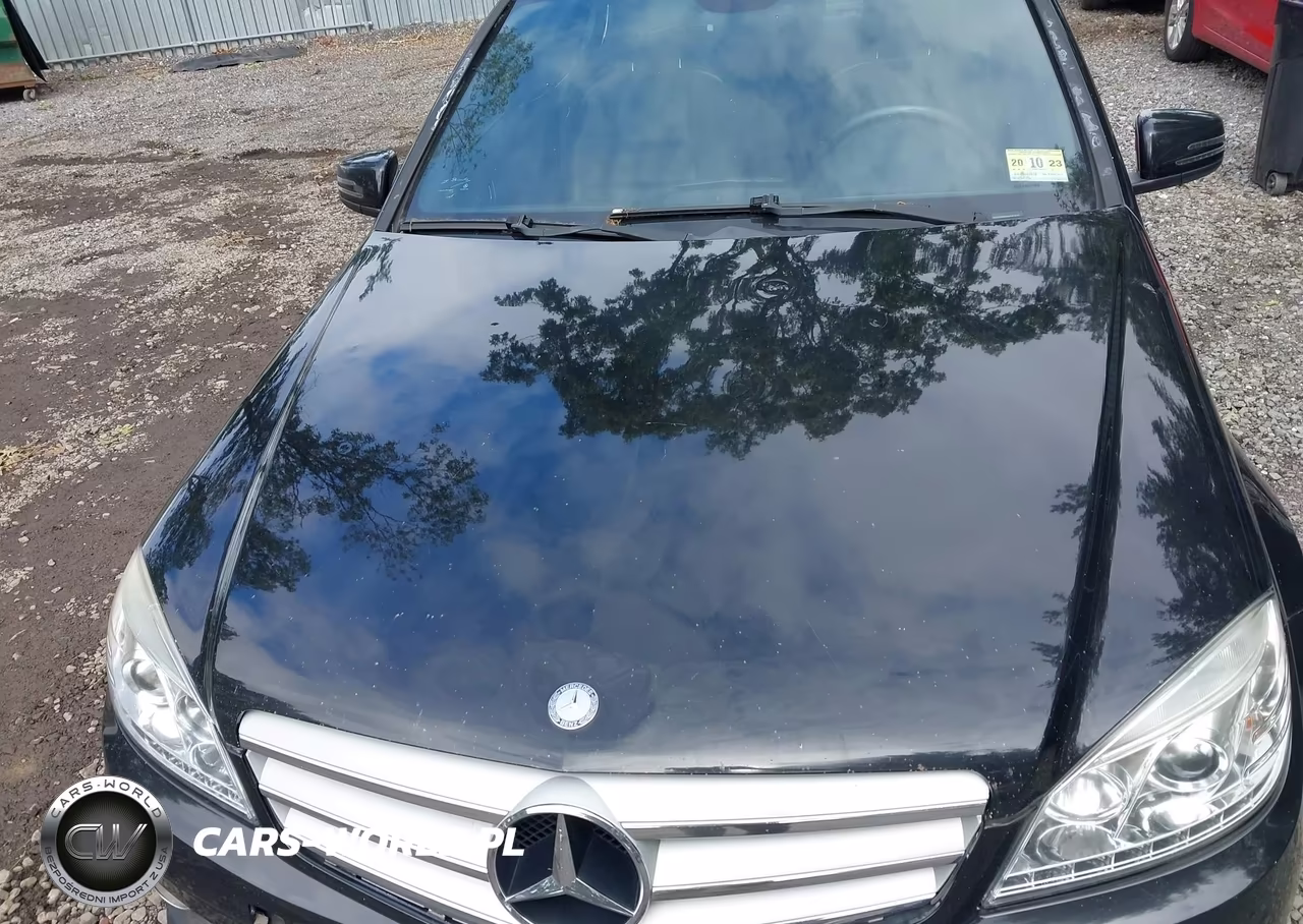 2010 Mercedes-Benz C 300 Luxury 4Matic-Sport 4Matic VIN:WDDGF8BBXAR091470 - 6
