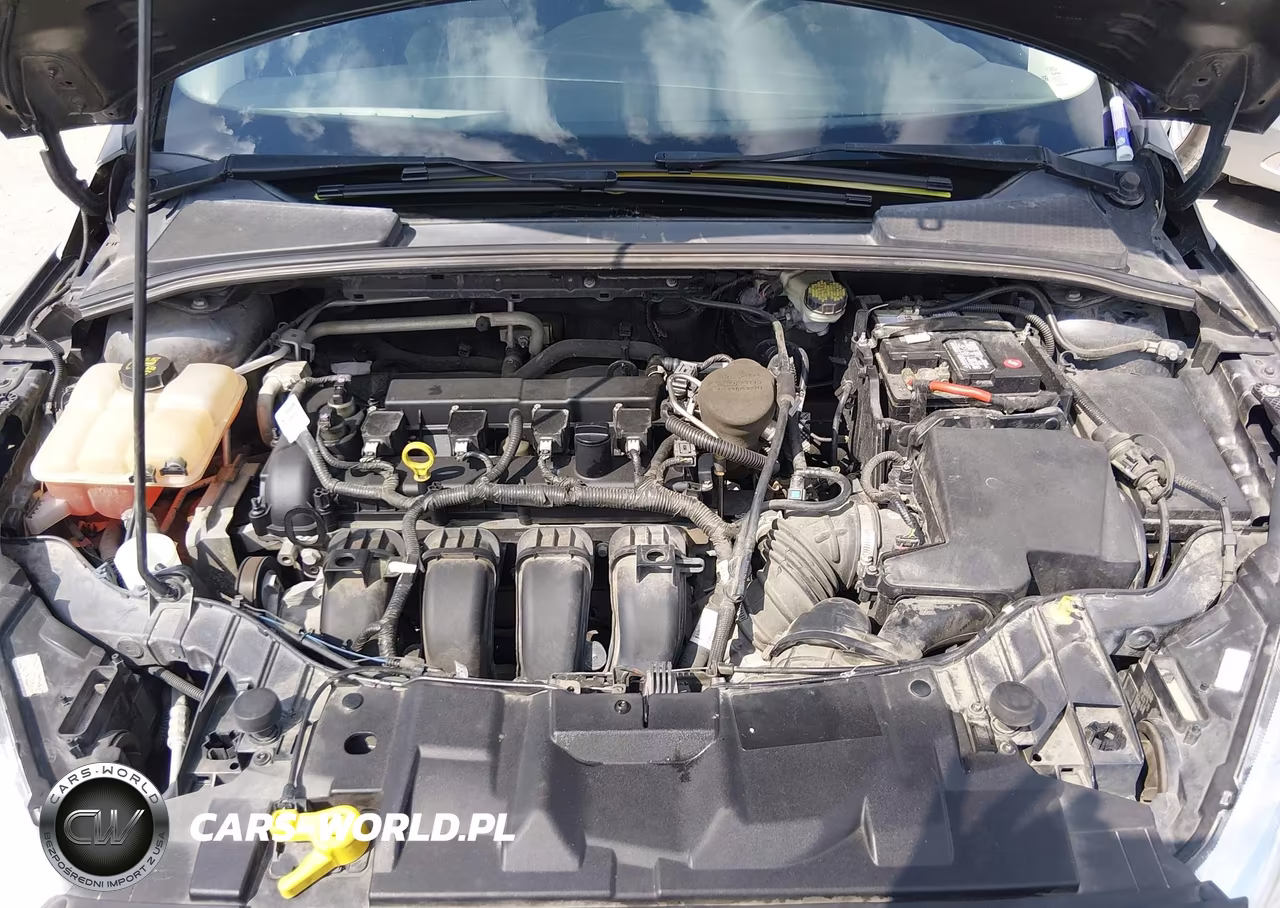2016 Ford Focus Se VIN:1FADP3F22GL221184 - 10