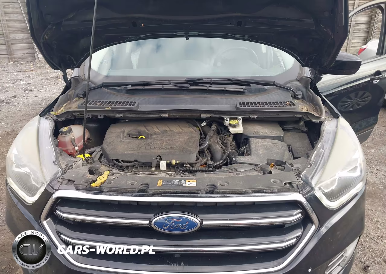 2017 Ford Escape Se VIN:1FMCU9GD5HUD90320 - 10