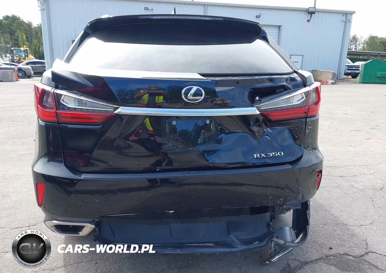 2019 Lexus Rx 350 VIN:JTJBZMCA1K2040957 - 16