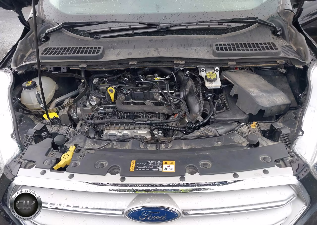 2019 Ford Escape Se VIN:1FMCU0GD1KUB86522 - 10