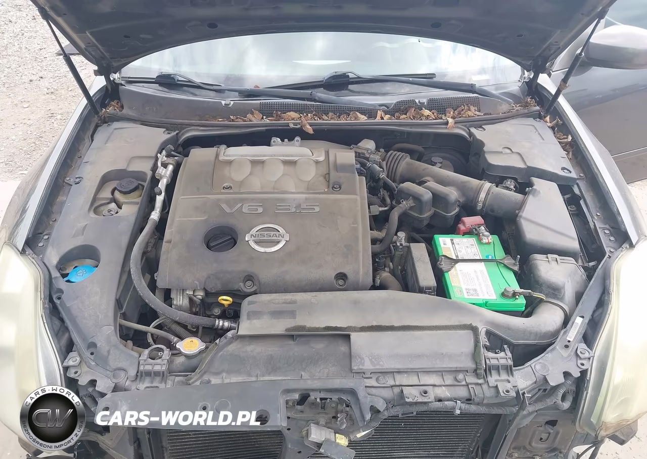 2006 Nissan Maxima 3.5 Se VIN:1N4BA41E46C820229 - 10