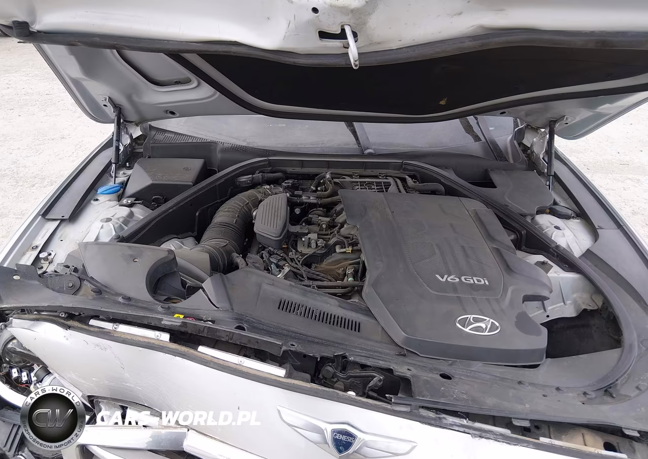 2016 Hyundai Genesis 3.8 VIN:KMHGN4JE5GU136785 - 10