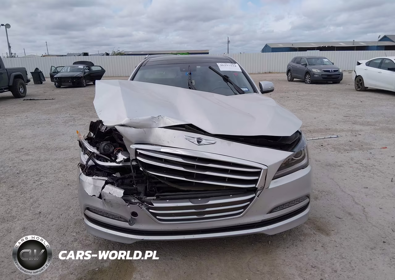 2016 Hyundai Genesis 3.8 VIN:KMHGN4JE5GU136785 - 12