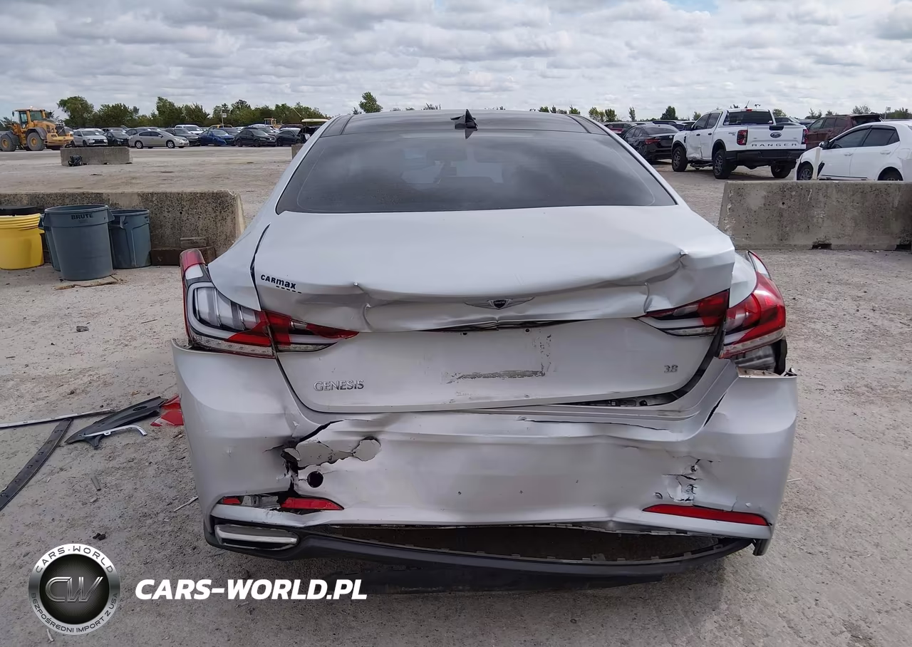 2016 Hyundai Genesis 3.8 VIN:KMHGN4JE5GU136785 - 16