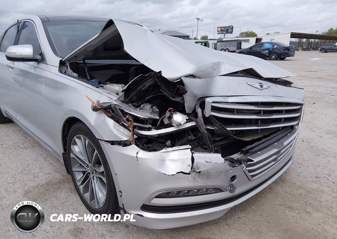 2016 Hyundai Genesis 3.8 VIN:KMHGN4JE5GU136785 - 6