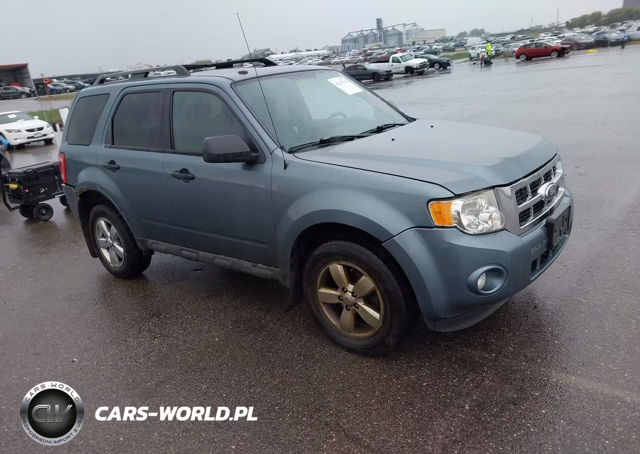 2010 Ford Escape Xlt