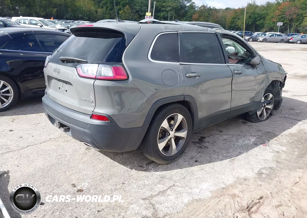 2019 Jeep Cherokee Limited 4X4 VIN:1C4PJMDX8KD489155 - 4
