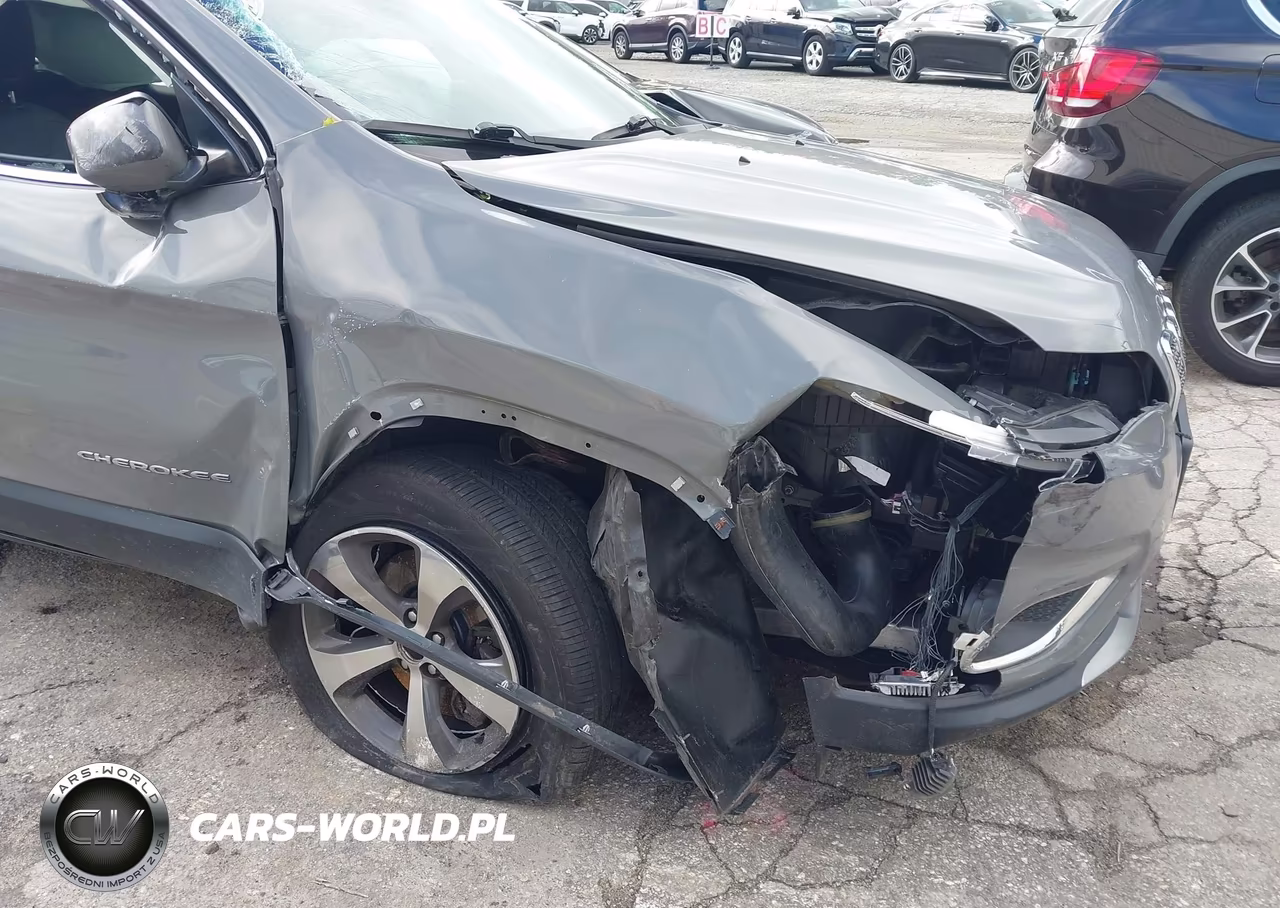 2019 Jeep Cherokee Limited 4X4 VIN:1C4PJMDX8KD489155 - 6