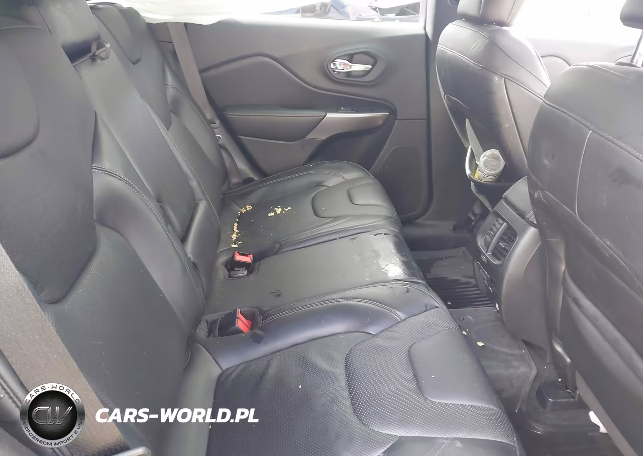 2019 Jeep Cherokee Limited 4X4 VIN:1C4PJMDX8KD489155 - 8