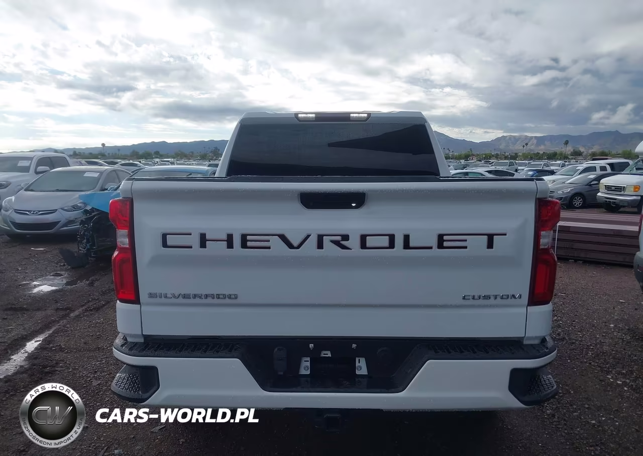2022 Chevrolet Silverado 1500 Ltd 2Wd Short Bed Custom VIN:1GCPWBEK1NZ172348 - 16