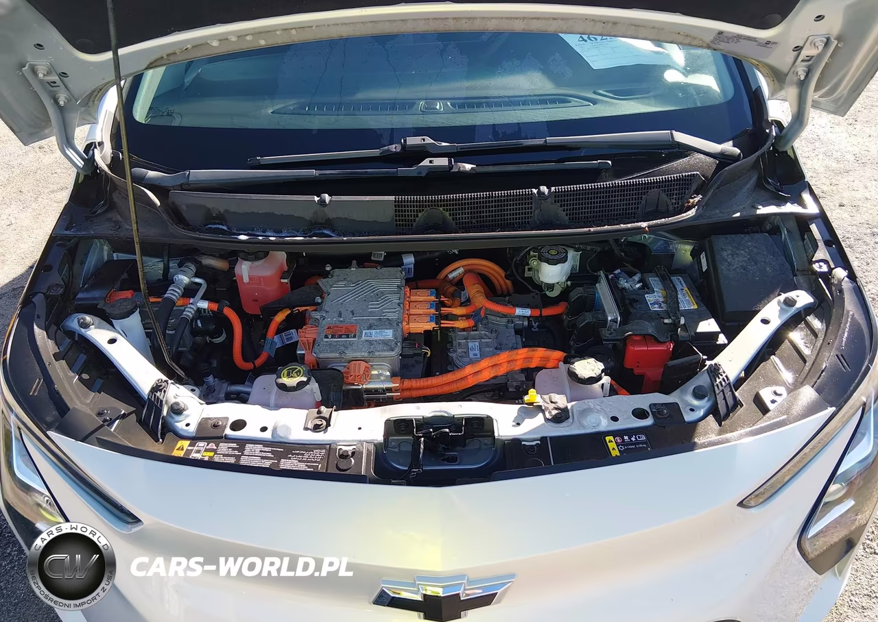 2023 Chevrolet Bolt Ev Fwd 1Lt VIN:1G1FW6S08P4111254 - 10